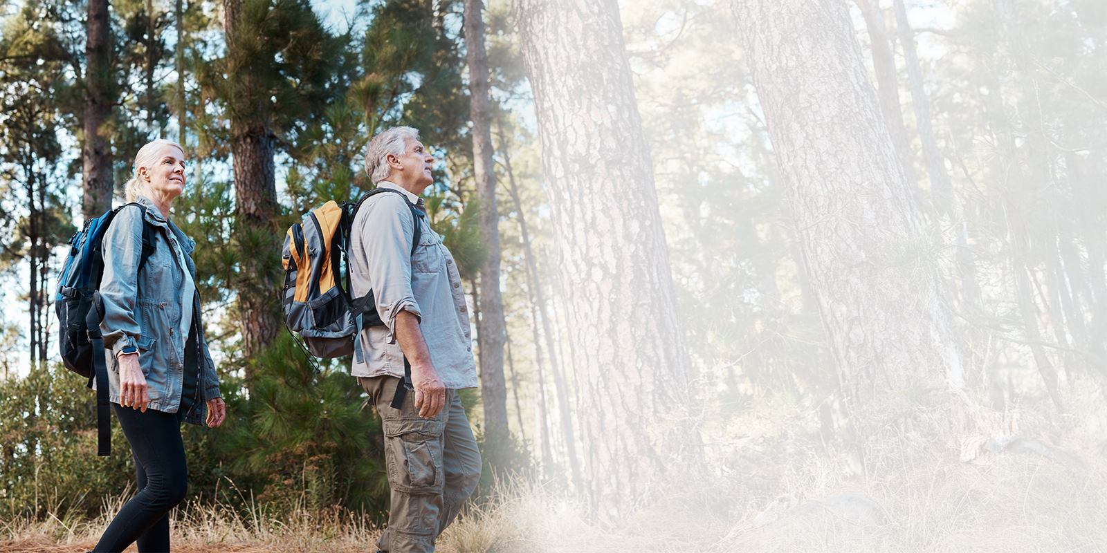 Couple walking through forest