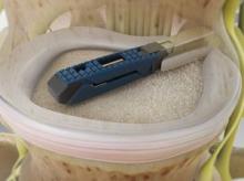 Interbody Fusion with Expandable Cage